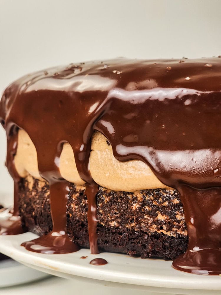 Chocolate Mousse Cake