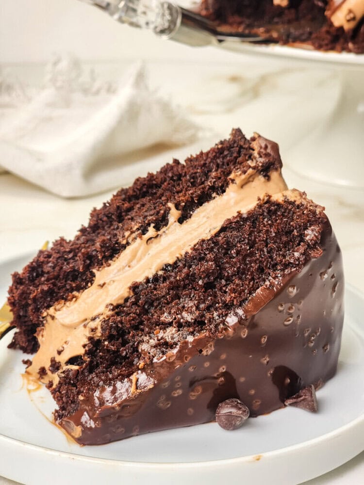 Chocolate Mousse Cake Chocolate Mousse Cake