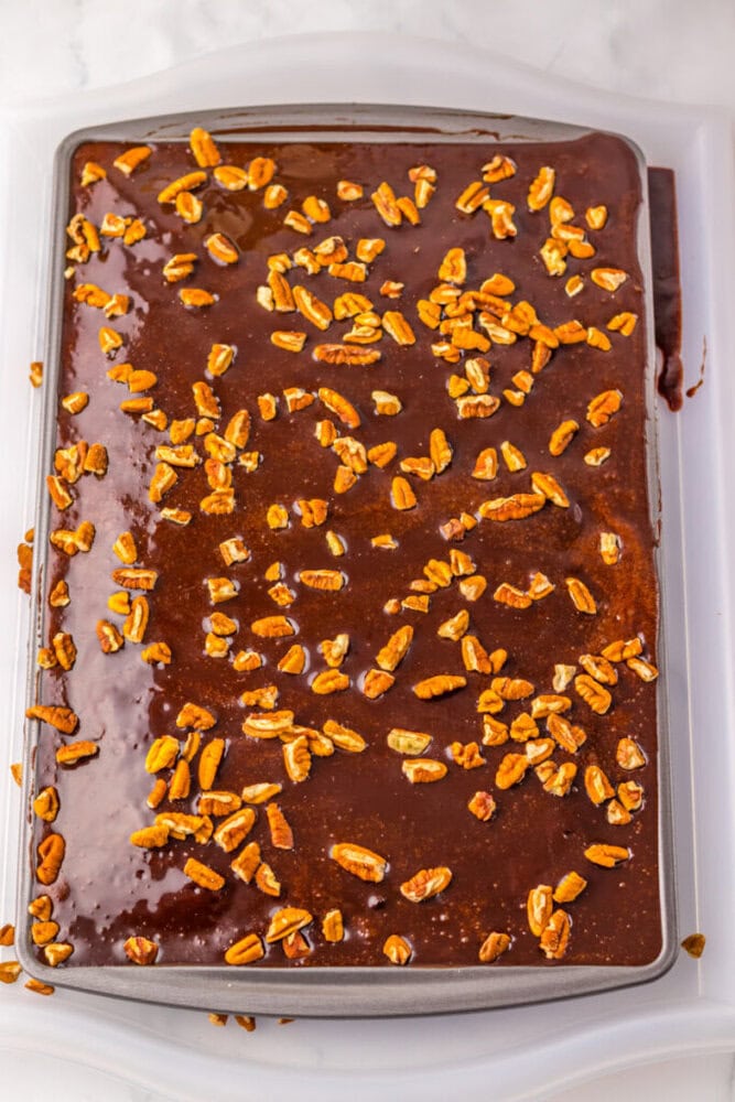 A rectangular pan filled with chocolate sheet cake topped with chocolate icing and sprinkled with chopped pecans.