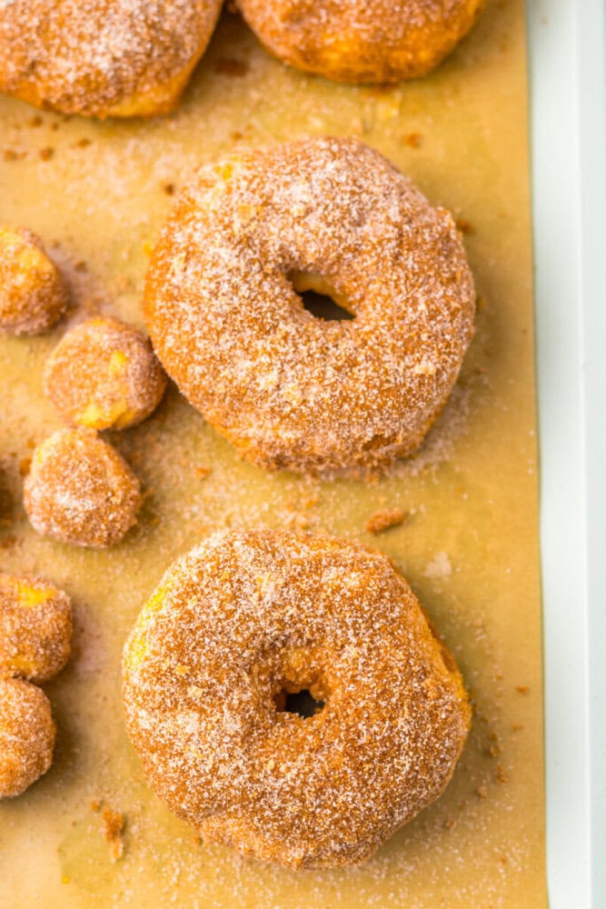 Two baked donuts and several small donut holes coated in cinnamon sugar rest on a sheet of parchment paper.