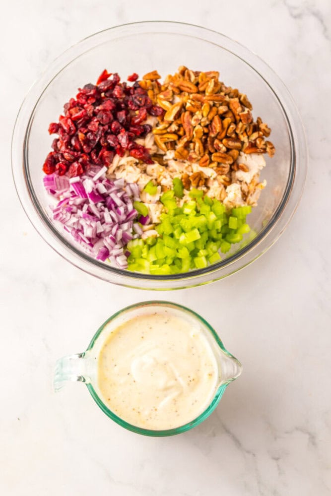 A glass bowl with chopped celery, red onion, dried cranberries, pecans, and shredded chicken. A smaller glass container holds a creamy dressing.