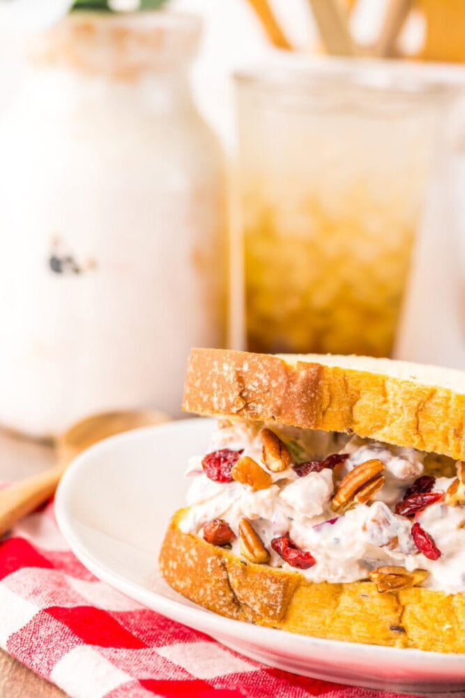 Chicken salad sandwich with pecans and cranberries on a white plate, set on a red checkered napkin, with a blurred drink and jar in the background.