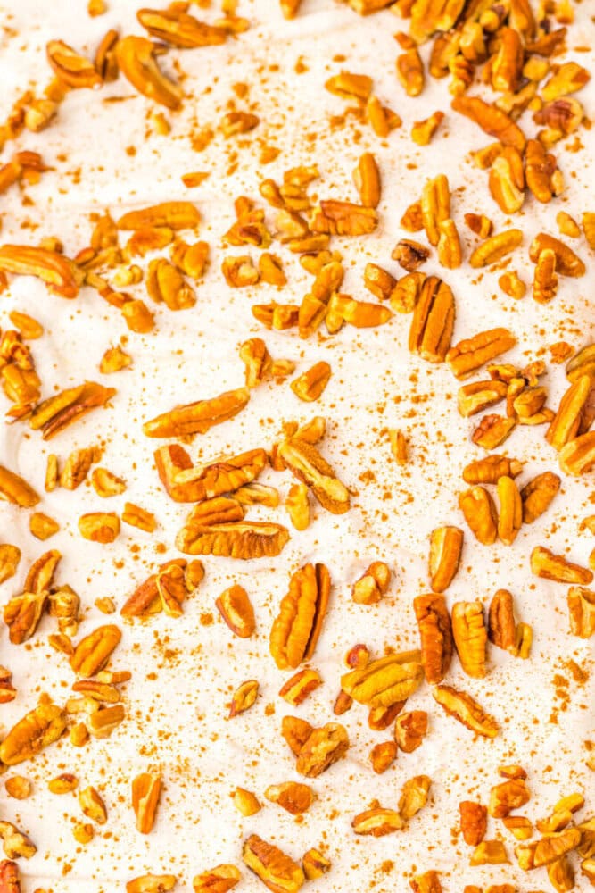 A close-up of chopped pecans scattered on a layer of creamy white frosting.