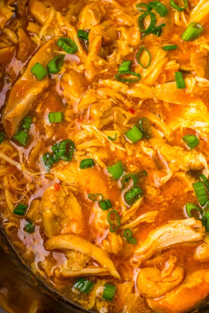 Shredded chicken in a spicy orange sauce, topped with chopped green onions.