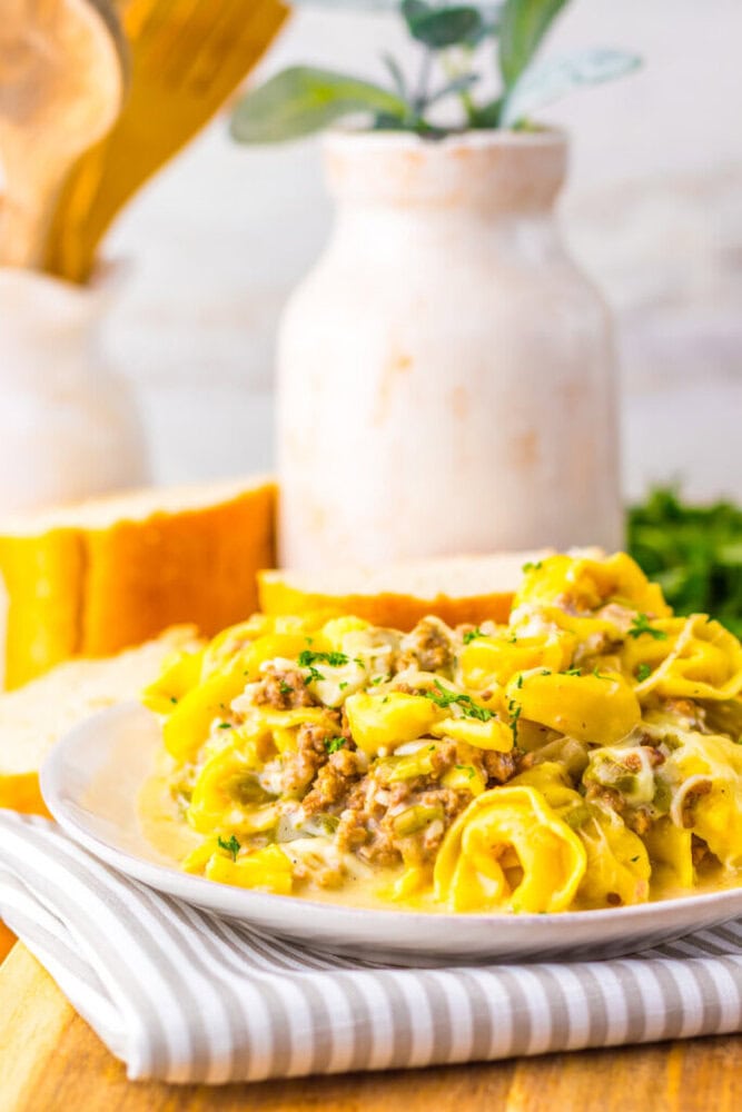 A plate of creamy pasta with ground meat and herbs sits on a striped napkin, with bread, a potted plant, and wooden utensils in the background.