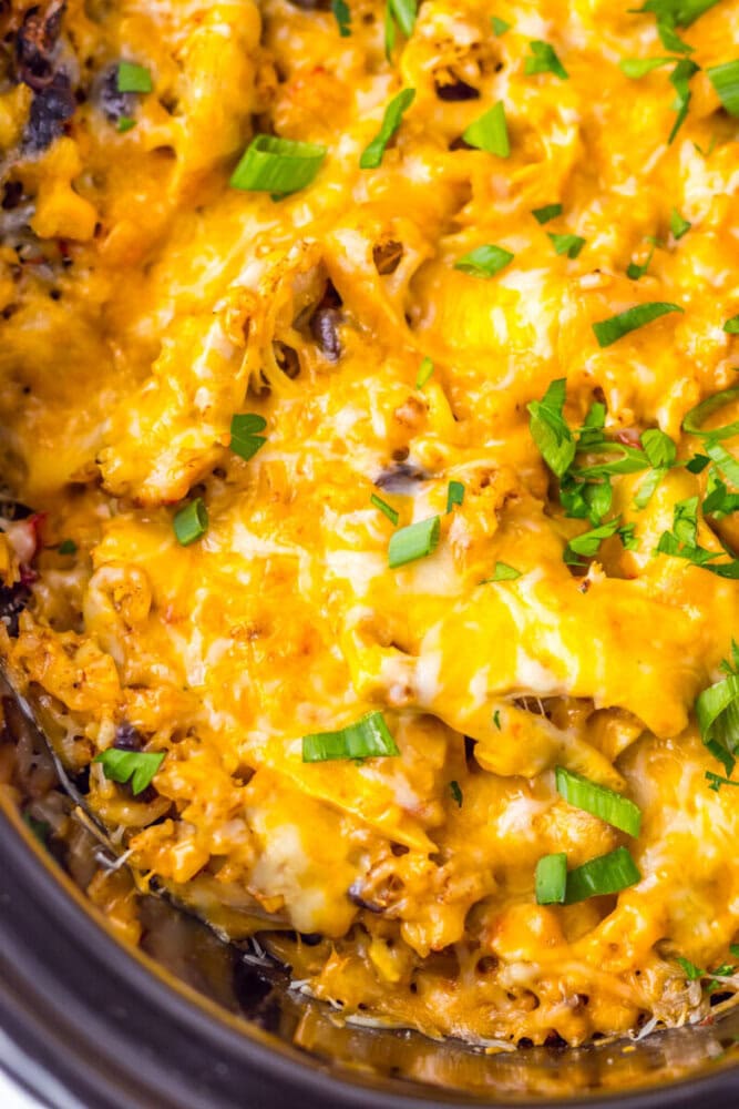 Close-up of a cheesy baked casserole topped with melted cheese and chopped green herbs.