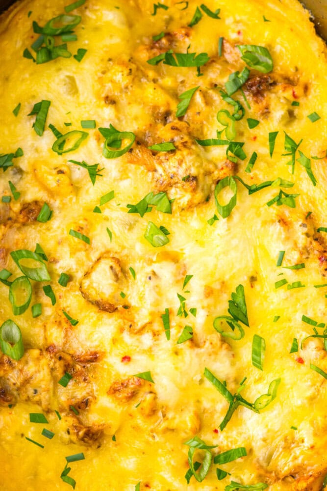Close-up of a baked cheesy casserole topped with melted cheese and chopped green onions.