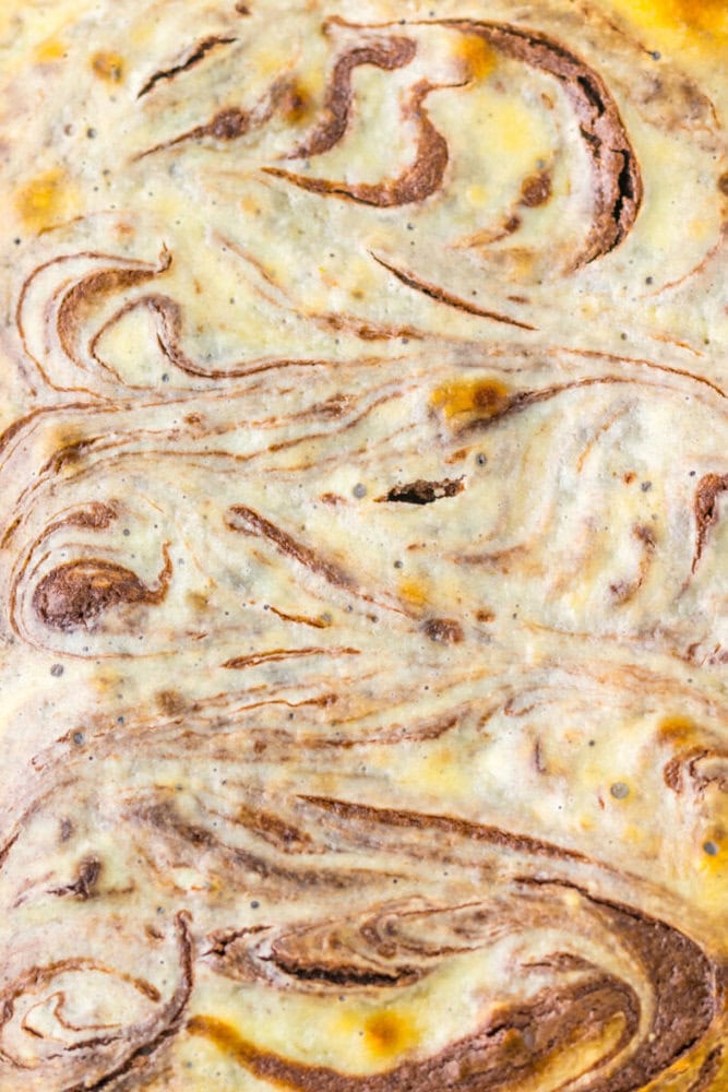 Close-up of a baked cheesecake with a chocolate swirl pattern on the surface.