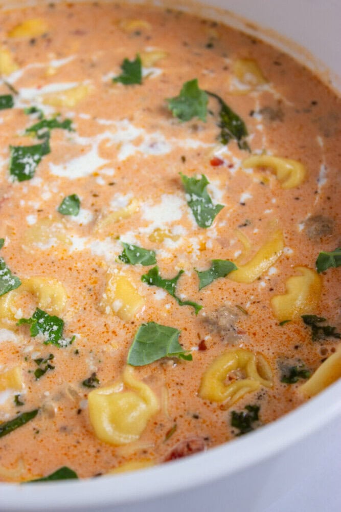 Close-up of a creamy tomato-based soup with tortellini, spinach, and herbs in a white bowl.
