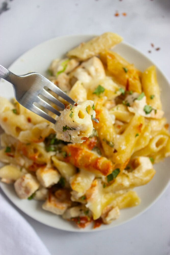 A plate of baked penne pasta with creamy sauce, garnished with herbs. A fork holds a bite-sized piece of pasta above the plate.