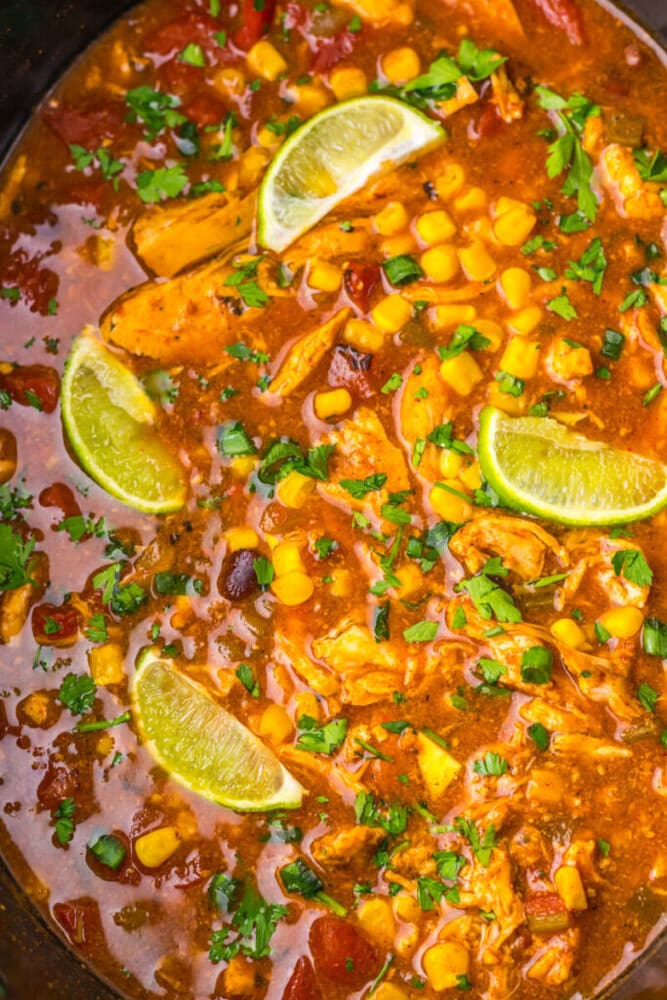 A close-up of a bowl of chicken soup with corn, beans, tomatoes, herbs, and lime wedges on top.