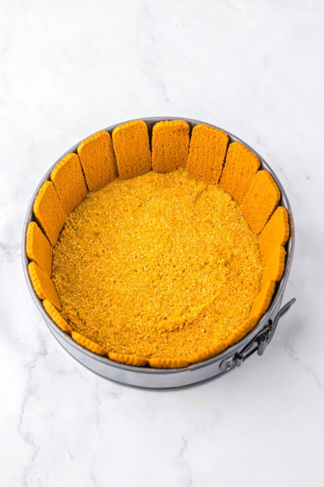 A round springform pan with a graham cracker crumb base and rectangular cookies standing upright around the edge on a white surface.