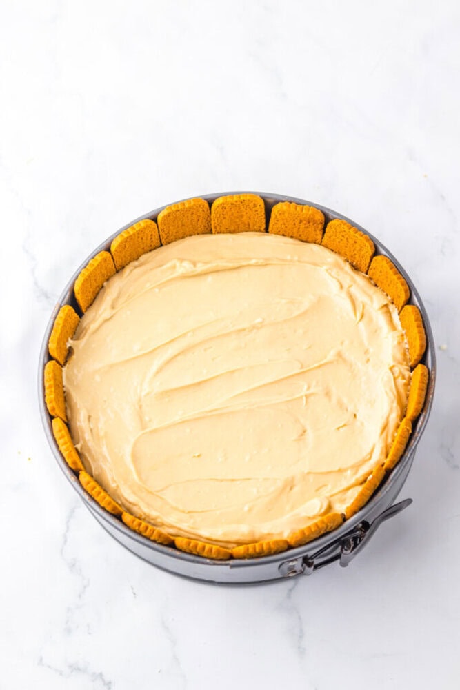 A round cheesecake in a springform pan with a smooth top and cookies arranged vertically around the edge on a white surface.