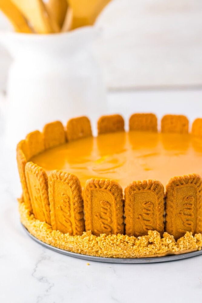 A cheesecake with a smooth orange surface is surrounded by vertical Lotus Biscoff cookies and a crumb crust, displayed on a marble surface.