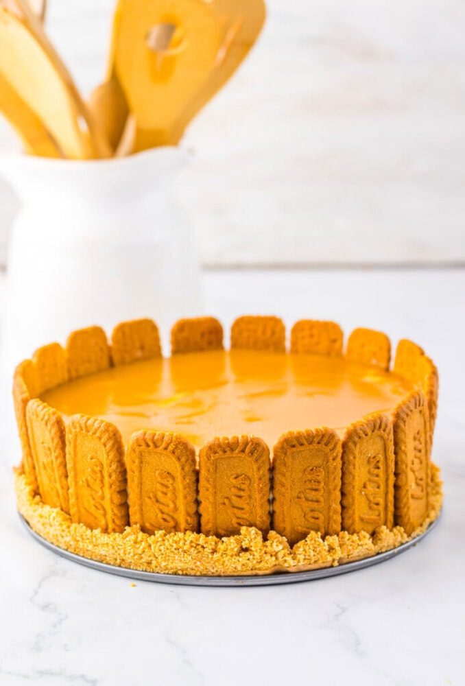 A round cheesecake with a glossy caramel-colored top, decorated with upright Biscoff cookies around the edge and cookie crumbs at the base, sits on a marble surface.