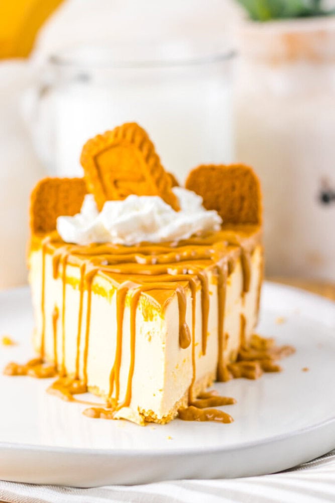 A slice of cheesecake topped with cookie butter, whipped cream, and three rectangular cookies, served on a white plate.