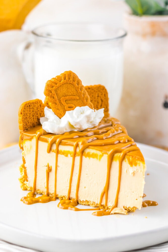 No-Bake Cookie Butter Cheesecake