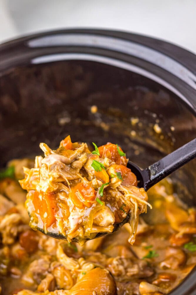 A ladle holding a serving of shredded chicken, tomatoes, and vegetables over a slow cooker filled with a similar mixture.