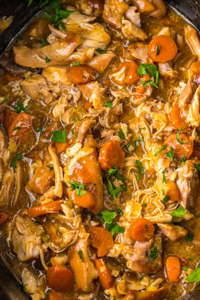 Close-up of shredded chicken stew with sliced carrots and herbs in a thick, brown sauce.
