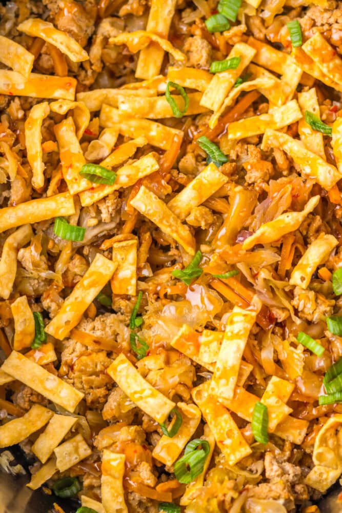 A close-up of an egg roll in a bowl dish, showing cooked ground meat, sliced vegetables, crispy wonton strips, and chopped green onions.