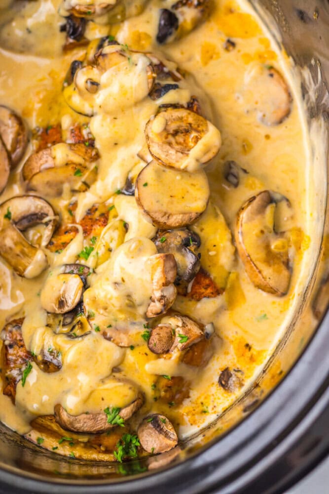 Chicken breasts topped with sliced mushrooms and creamy sauce in a slow cooker.