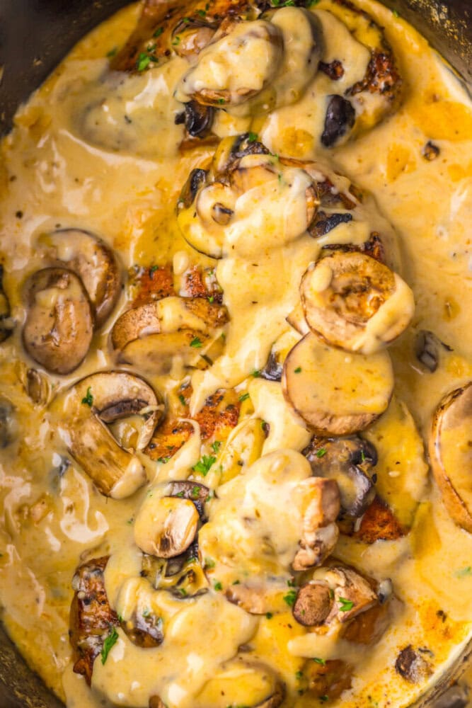 Chicken breast covered in creamy mushroom sauce, garnished with herbs.