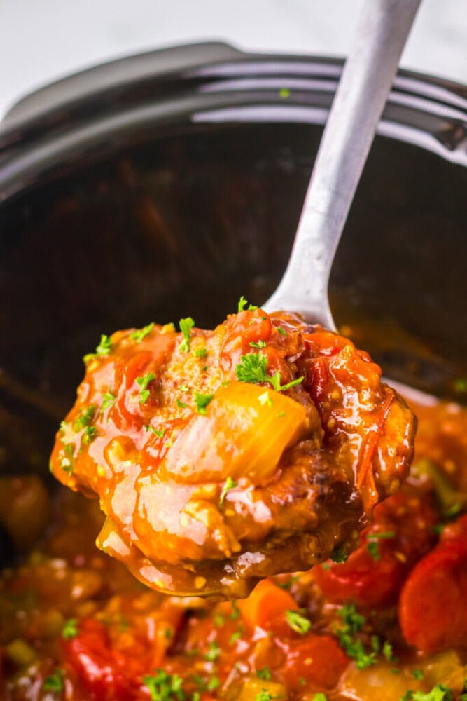 A ladle holds a serving of tomato-based stew with chunks of meat, onions, and herbs, above a slow cooker filled with more of the dish.