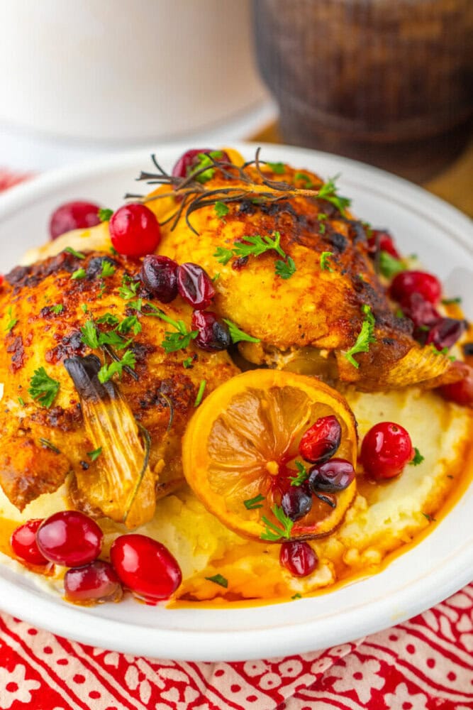 Roasted chicken with herbs, lemon slices, and cranberries served on a bed of mashed potatoes, garnished with chopped parsley.
