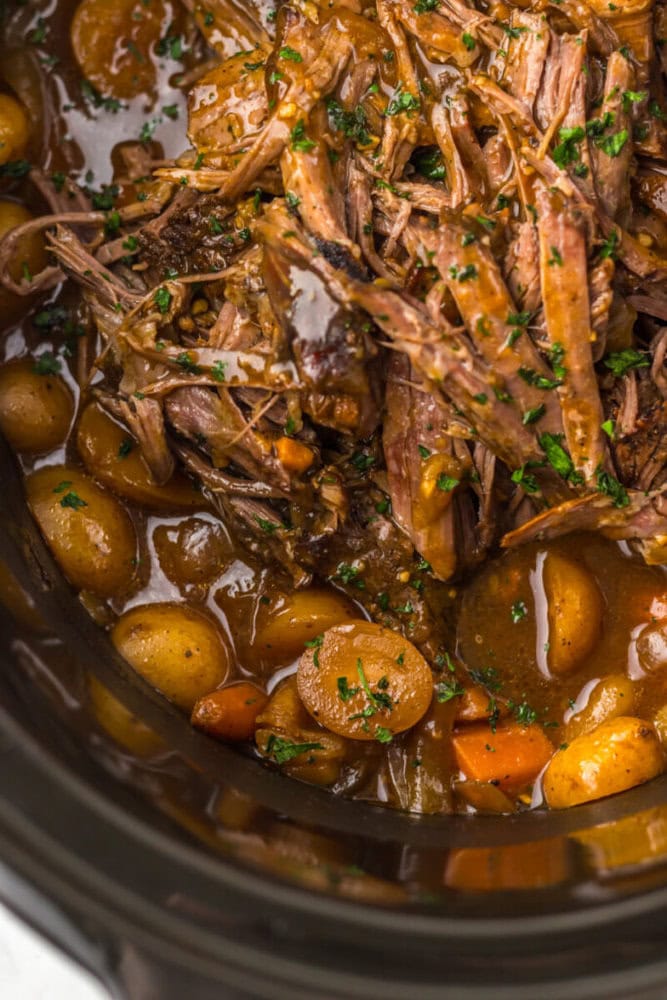 Close-up of a slow-cooked pot roast with shredded beef, baby potatoes, carrots, and herbs in a rich brown sauce.