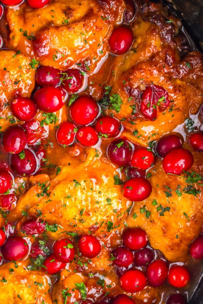 Golden cooked chicken topped with glossy cranberry sauce, whole cranberries, and chopped parsley.