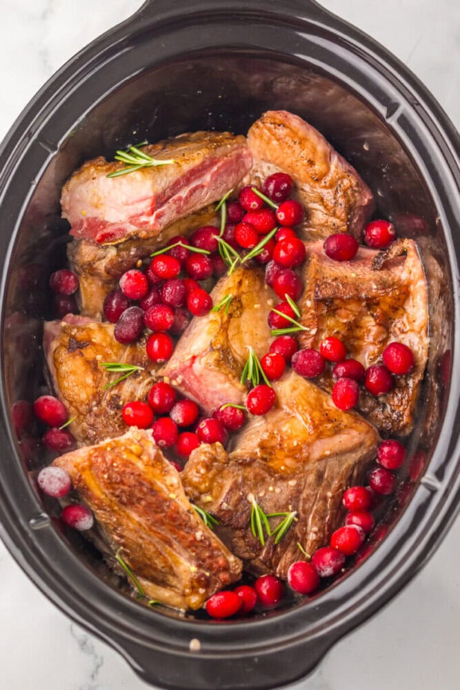 Beef short ribs with cranberries and rosemary sprigs in a slow cooker, ready to be cooked.
