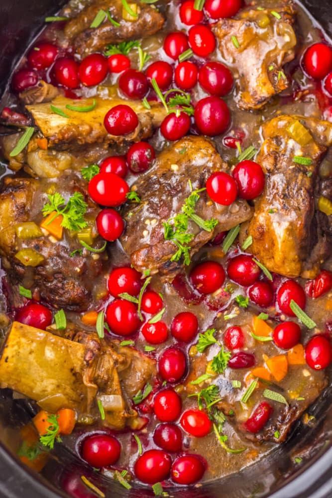 Close-up of cooked beef short ribs in a sauce with whole cranberries, diced carrots, and fresh herbs, all in a slow cooker.