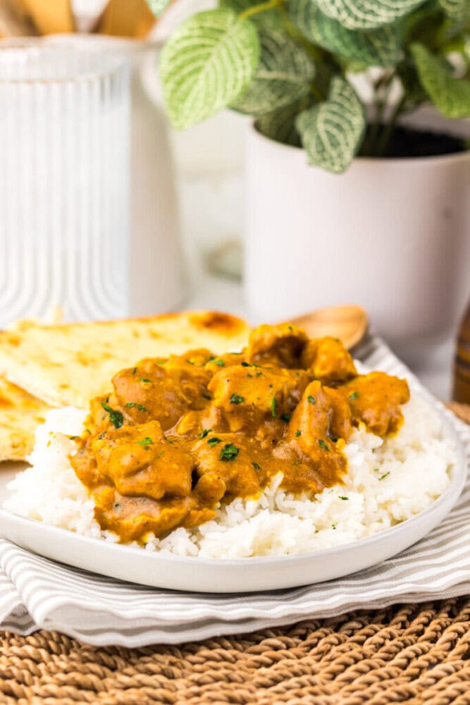 A plate of white rice topped with chicken curry, garnished with herbs, served with naan bread on the side. A plant and kitchen items are visible in the background.