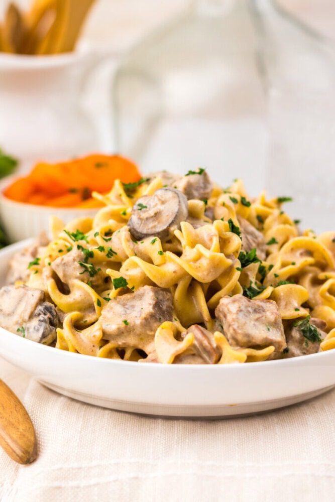 A bowl of beef stroganoff with egg noodles, mushrooms, and parsley garnish, served on a white plate.