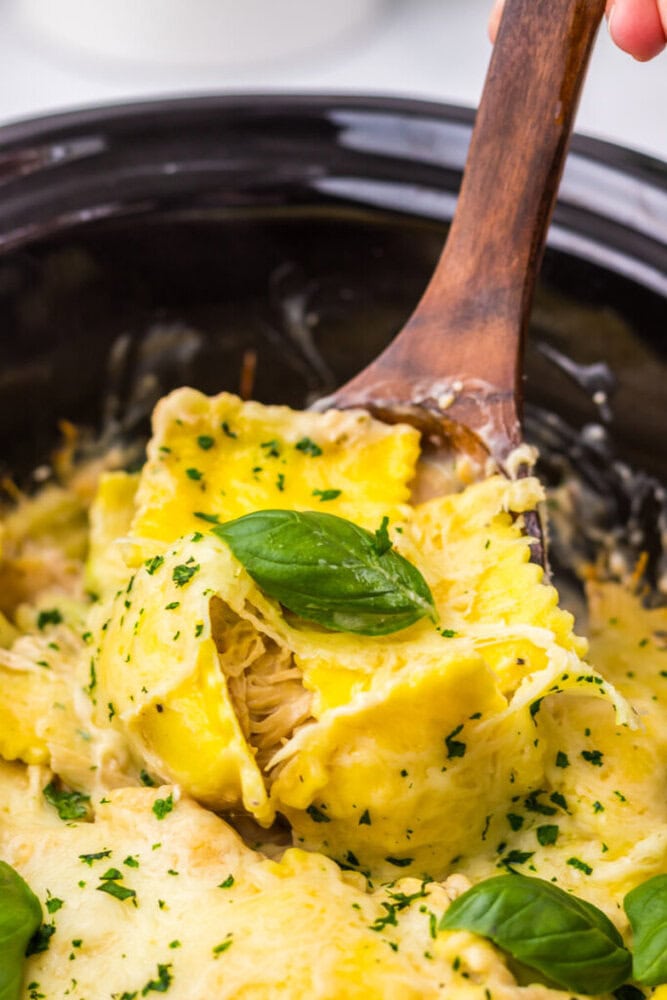 A wooden spoon lifting cheesy ravioli with shredded chicken from a crockpot, garnished with basil leaves and chopped parsley.