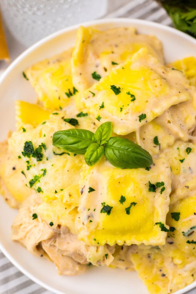 A plate of cheese ravioli in a creamy white sauce, garnished with chopped parsley and a sprig of fresh basil.