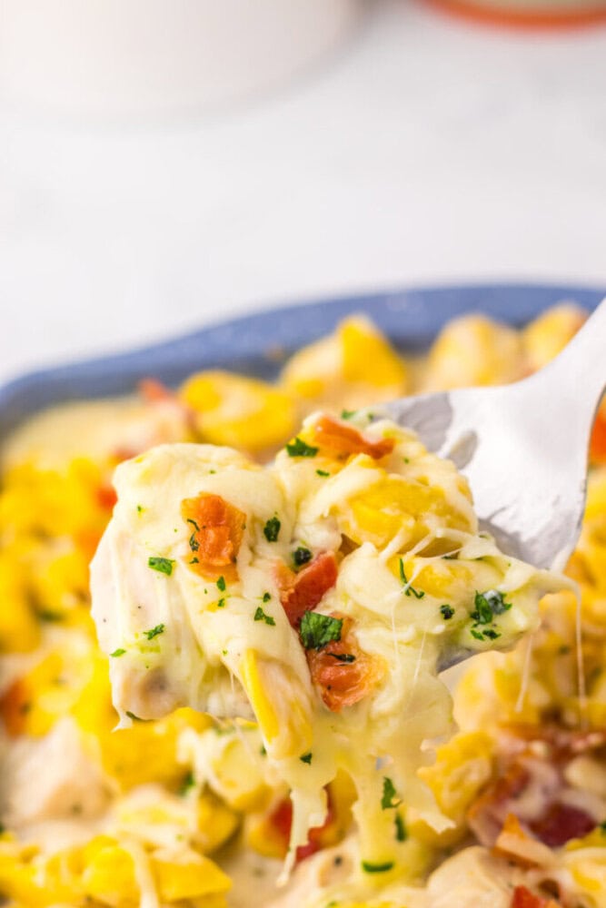 A fork lifts a cheesy baked pasta with chicken, bacon, and herbs above a casserole dish.