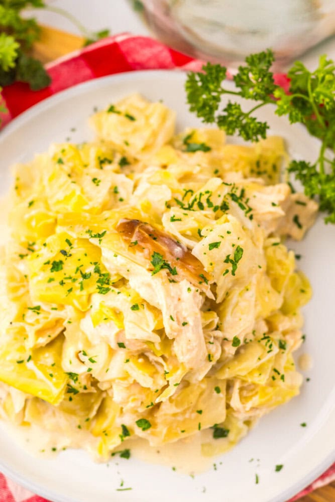 A plate of creamy cabbage and chicken, garnished with chopped parsley.