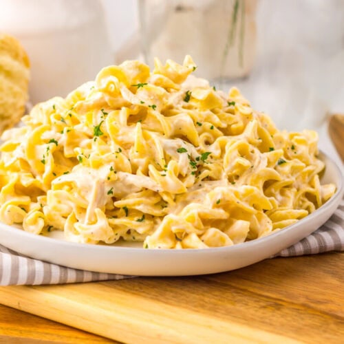 Slow cooker creamy garlic chicken and noodles served on a white plate with fresh parsley garnish