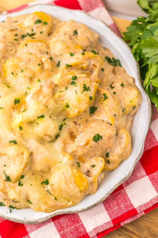 Slow cooker French onion chicken tortellini with melted cheese and parsley garnish in white serving bowl