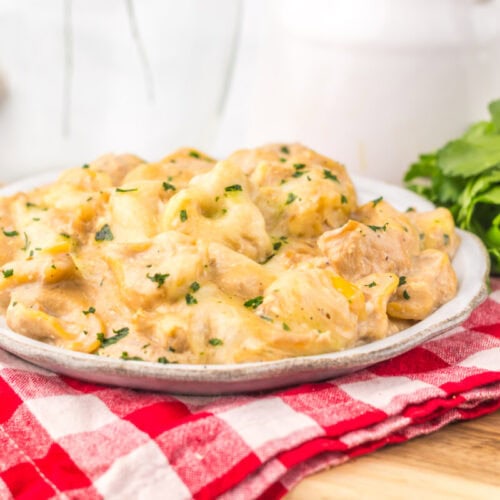 Slow cooker French onion chicken tortellini served on a white plate with fresh parsley garnish