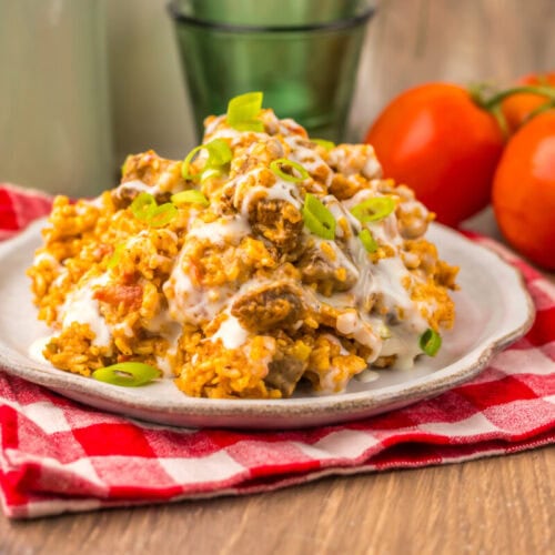Slow cooker queso steak and rice topped with sour cream and green onions, plated and ready to serve