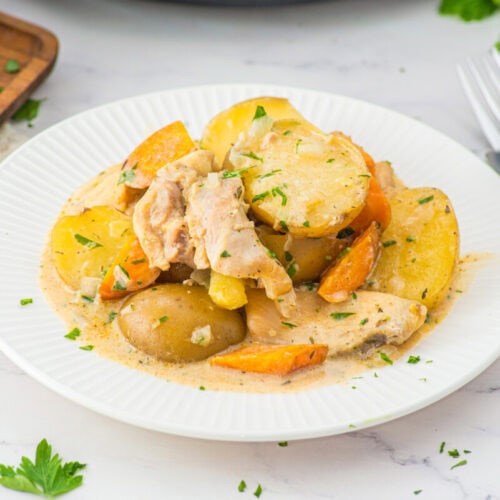 Creamy chicken and potatoes slow cooker recipe plated with parsley garnish