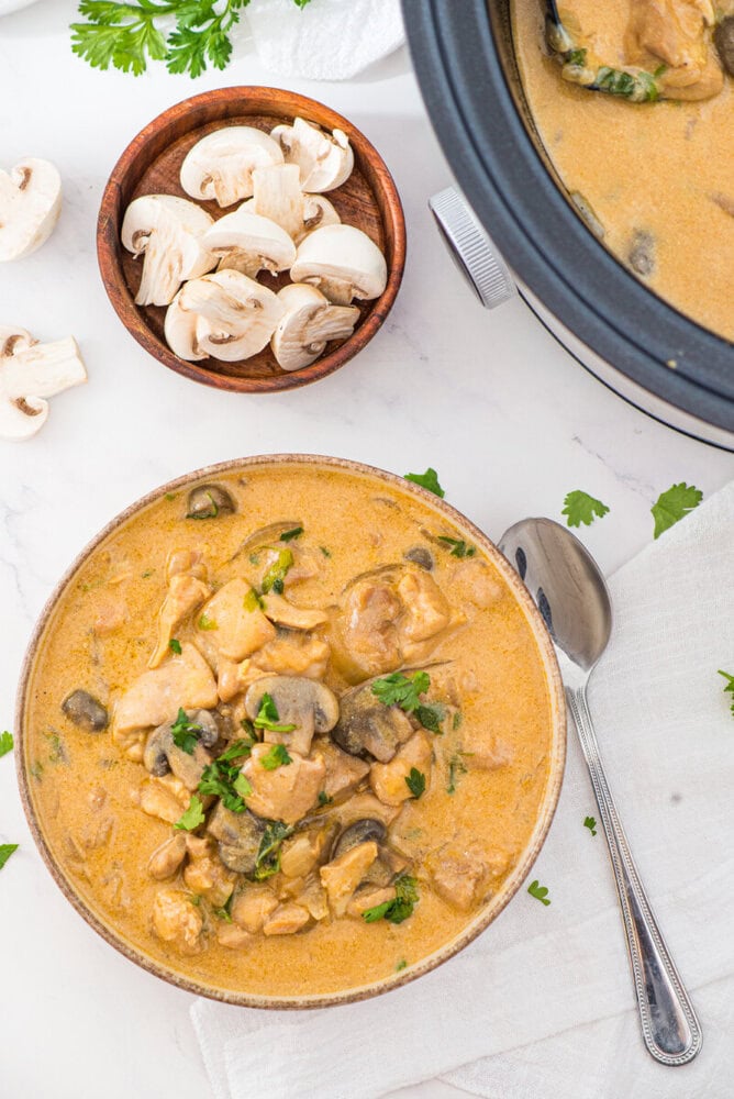 Slow cooker chicken stroganoff with creamy mushroom sauce in serving bowl, garnished with parsley