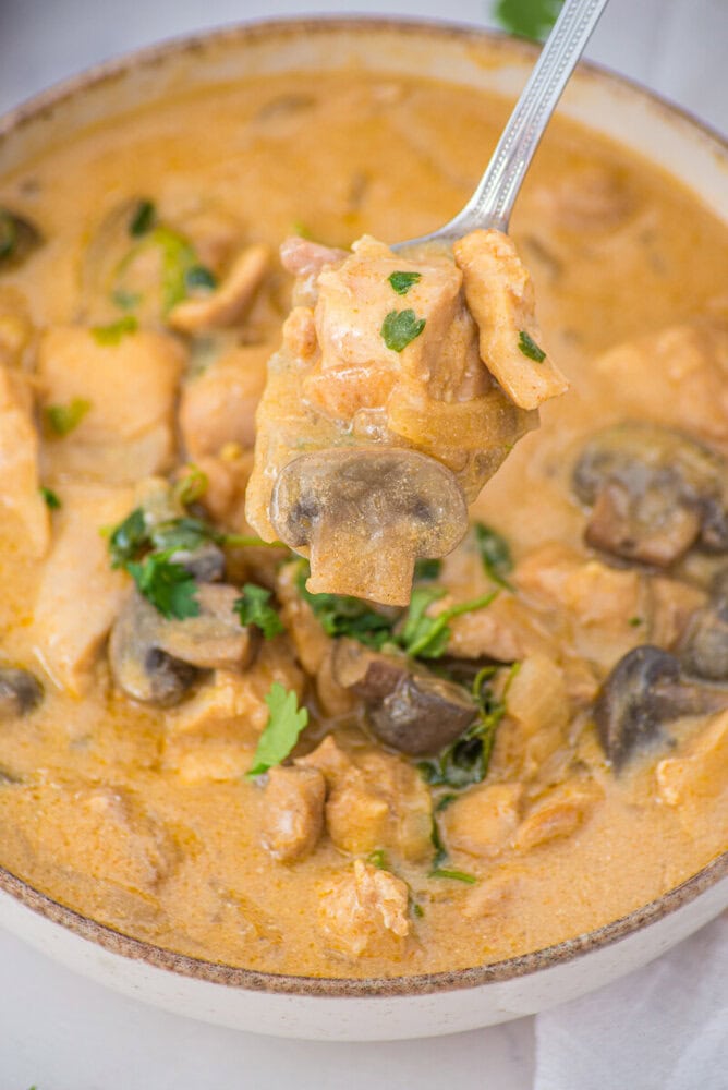 Slow cooker chicken stroganoff with creamy sauce, mushrooms, and fresh parsley garnish being served with a spoon