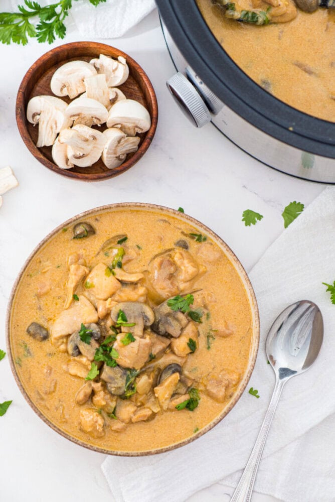 Slow Cooker Chicken Stroganoff with Creamy Chicken and Mushrooms Slow Cooker Chicken Stroganoff with Creamy Chicken and Mushrooms