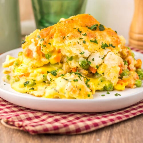 Chicken cobbler with golden biscuit topping and herb garnish on white plate