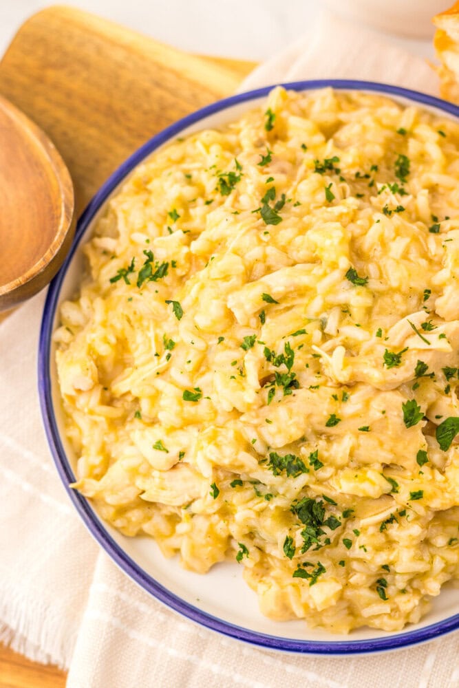 Slow cooker butter chicken and rice served in a blue-rimmed white bowl, garnished with fresh parsley