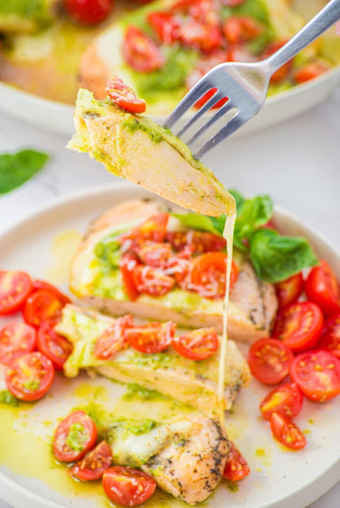 Chicken Margherita with pesto, fresh tomatoes, and basil on a white plate with fork lifting a slice