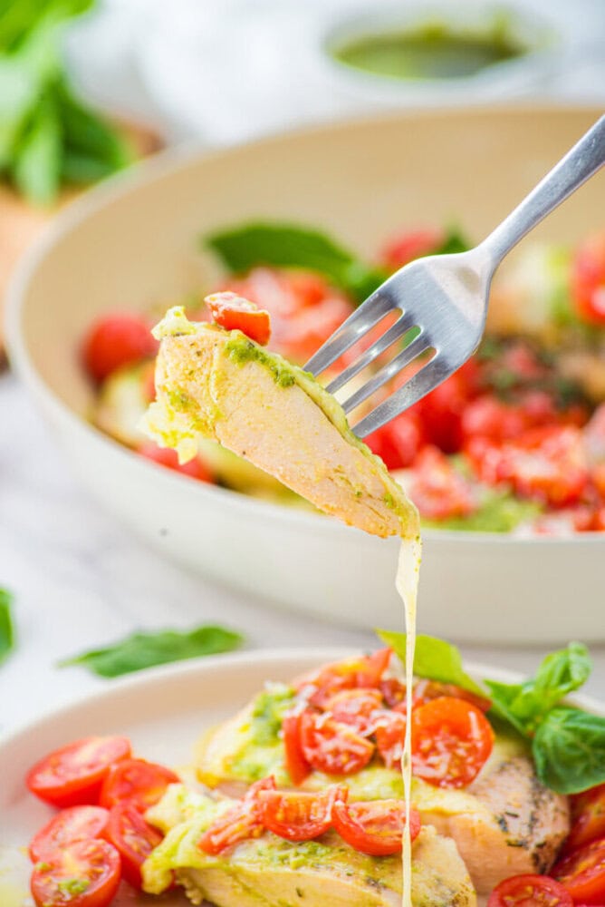 Fork lifting cooked pesto chicken from Chicken Margherita with tomatoes and basil garnish